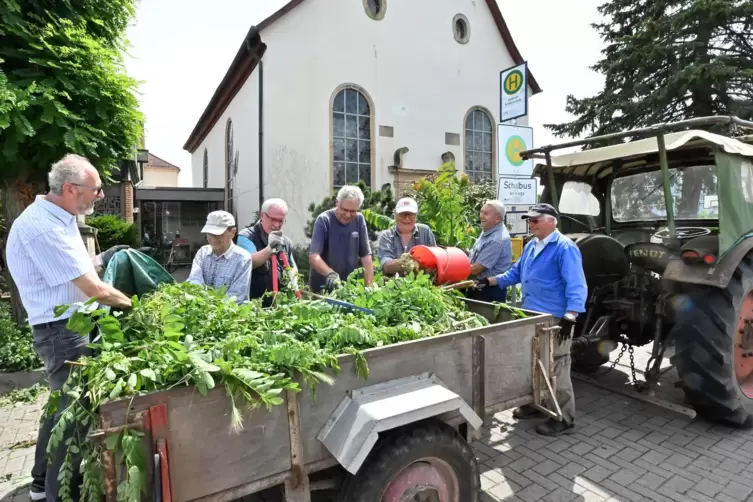 Fleißige Rentner (von links): Matthias Schorer, Robert Mattern, Wolfgang Schmitt, Ulrich Klink, Oskar Himmighöfer, Gerhard Heim 