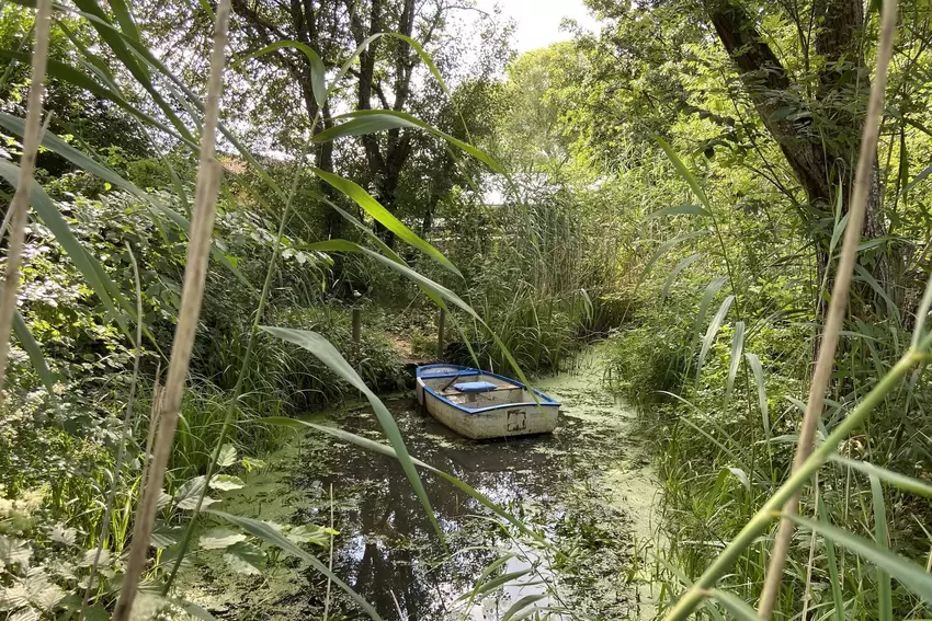 Ein Boot aus dem Steinhuder Meer treibt im Teich in Oberalben.