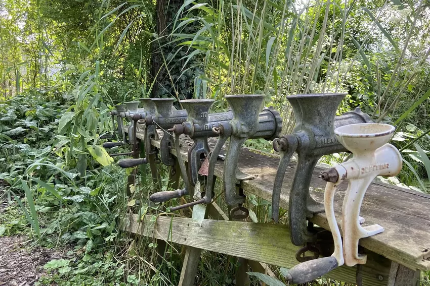 Relikte aus vergangener Zeit: eine kleine Sammlung älterer Fleischwölfe ist am Teich zu finden.