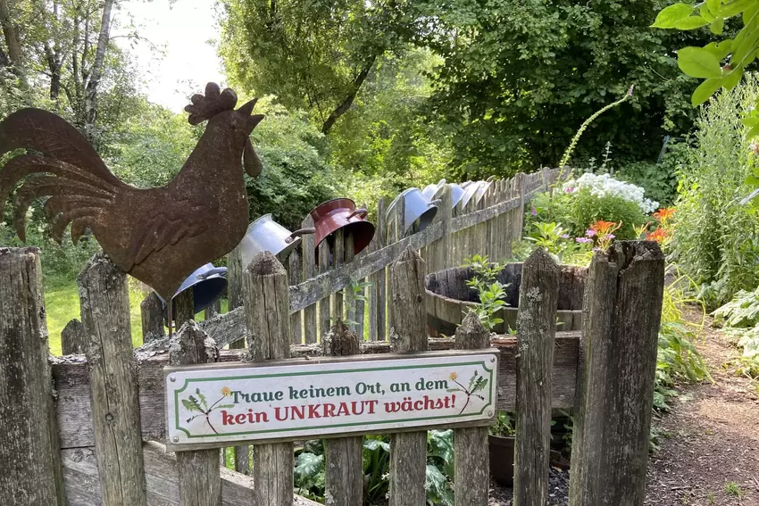 Wo einst Gemüse angebaut wurde, fühlen sich nun Insekten wohl.