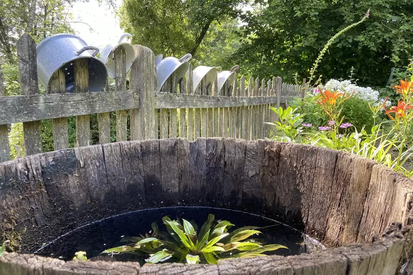 Wasserstelle für Insekten.