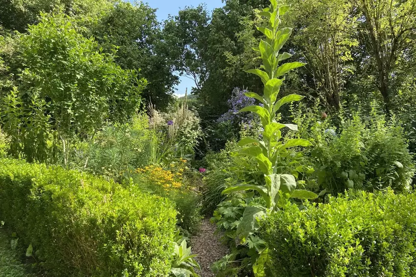 Es grünt und blüht: Ein Staudengarten vor dem Bauernhaus.