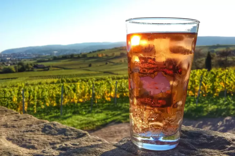 Blick auf die Weinberge mit Weingenuss im „Dubbe-Schobbe“. 