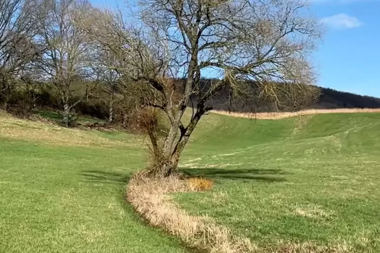 Ein plätschernder Bach am Pletschmühlweg.