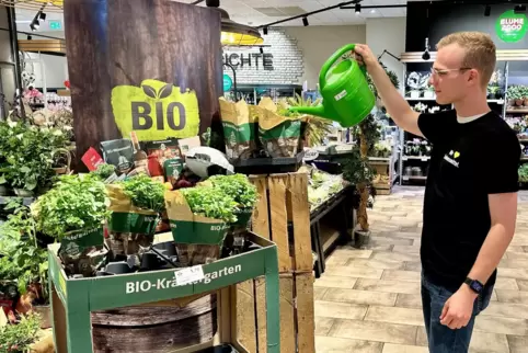 In der Obst- und Gemüseabteilung Pflicht: Praktikant Paul beim Gießen von Kräutern und Blumen. 