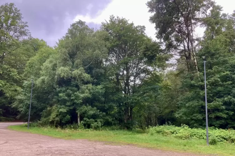 Das Waldstadion in der Spesbach bekommt neue Straßenlaternen, damit die Sportler im Winter auf dem Weg zu den Autos nicht stürze