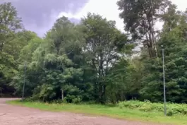 Das Waldstadion in der Spesbach bekommt neue Straßenlaternen, damit die Sportler im Winter auf dem Weg zu den Autos nicht stürze