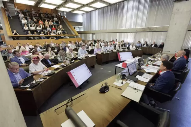 Der Antrag der AfD, die Fraktionsmittel zu kürzen, fand im Stadtrat keine Mehrheit.