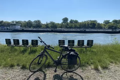 Bei Rheinkilometer 412 bietet sich eine Pause am Rhein an.