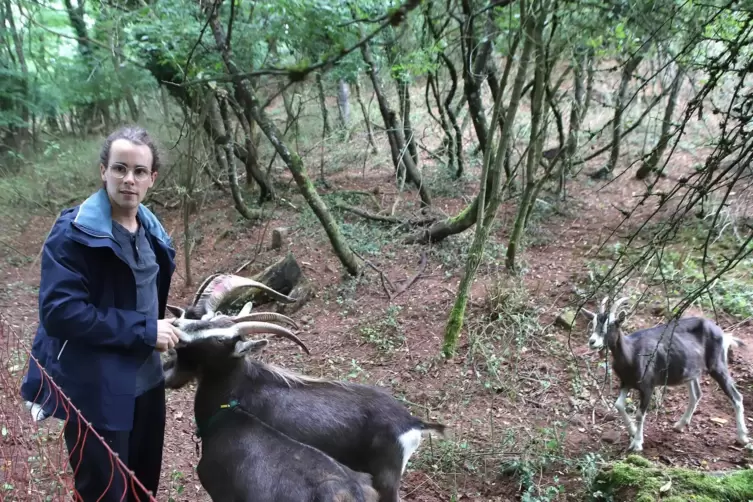 Johannes Baumann wirkt mit seinen Tieren beim Großprojekt „Neue Hirtenwege im Pfälzerwald“ mit. 