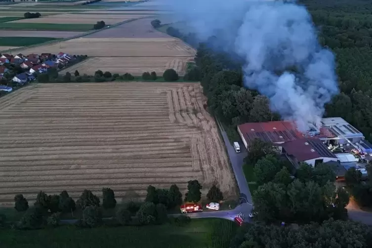 Zum Zeitpunkt des Vorfalls wurde in einem Trockner Petersilie verarbeitet. 