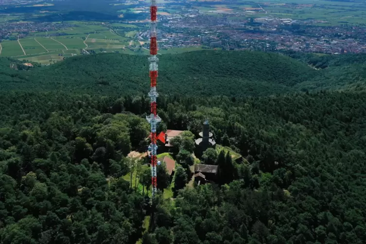 Auf dem Weinbiet werden die Waldschatten und der Pfälzerwald-Verein Gimmeldingen künftig Nachbarn sein.