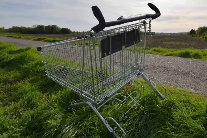 Einkaufswagen: Gibt es in vielen Shoppingzentren für einen Euro. Luxusmodelle sind sogar mit Lupe ausgestattet.