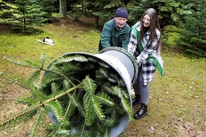 Eine Kuseline muss auch mitanpacken können: Zum 40. Jubiläum seines Weihnachtsbaumverkaufes hat Alois Kuhn aus Breitenbach Kusel