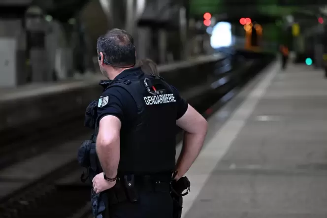 Ein Gendarm steht an einem leeren Gleis am Bahnhof Gare Montparnasse in Paris.