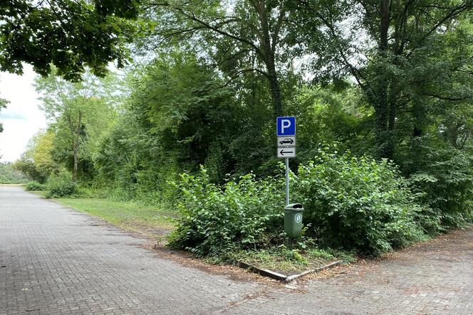 So leer ist es bei warmem Wetter derzeit nicht auf dem Parkplatz am Mechtersheimer Badesee.