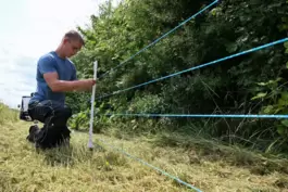 Elektrozaun zur Eindämmung der Schweinepest