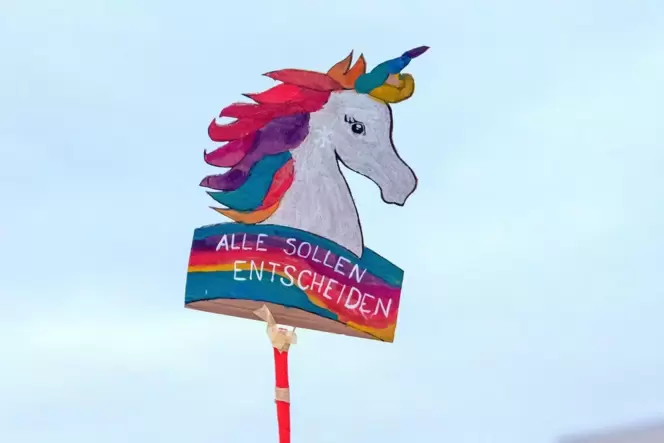 Aufruf zu mehr Beteiligung: Fridays for Future-Demonstration gegen die AFD,