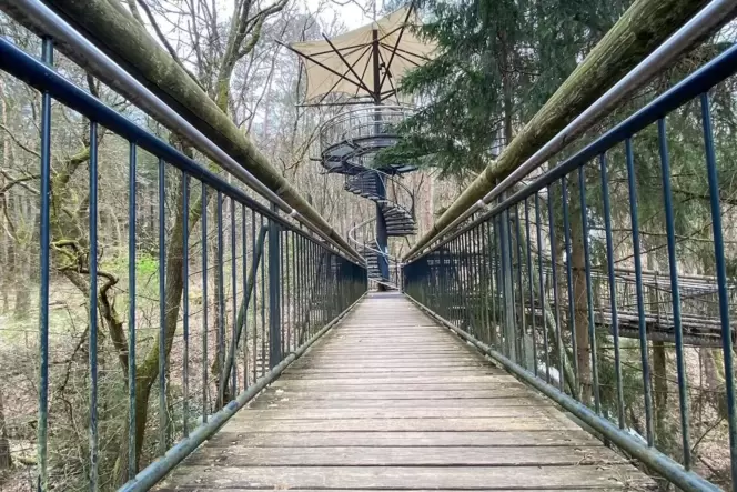 Baumwipfelpfade wie in Fischbach gibt es mittlerweile auch in vielen anderen Kommunen.