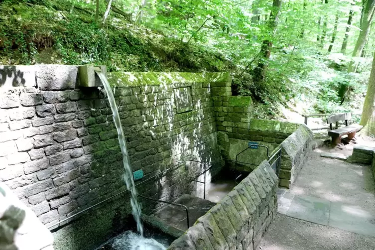 Die Walddusche im Hainbachtal.