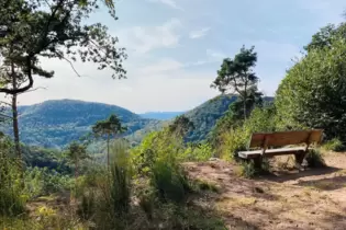 Der Pfälzerwald ist eines der größten zusammenhängenden Waldgebiete Deutschlands. Der Mensch sollte seinen Wert als Naturraum ni