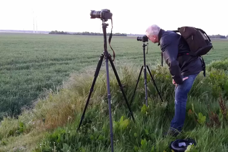 Für seine Naturfotos muss Ulrich Flörchinger geduldig sein. 