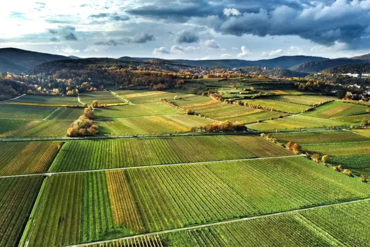 Am Wochenende bleibt es in Rheinland-Pfalz und im Saarland stark bewölkt und regnerisch. 