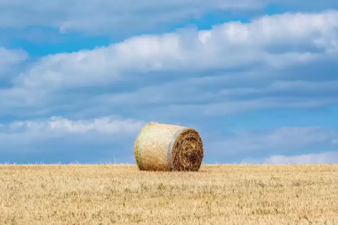 Ein Strohballen liegt auf einem Feld