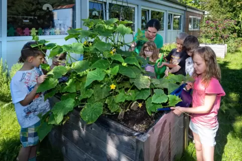 Fit machen für der Herausforderungen von morgen: Erstklässler der Siedlungsgrundschule kümmern sich unter Leitung von Lehrerin M