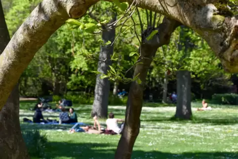 Kühle Oase im Landauer Stadtsommer: der Schillerpark.