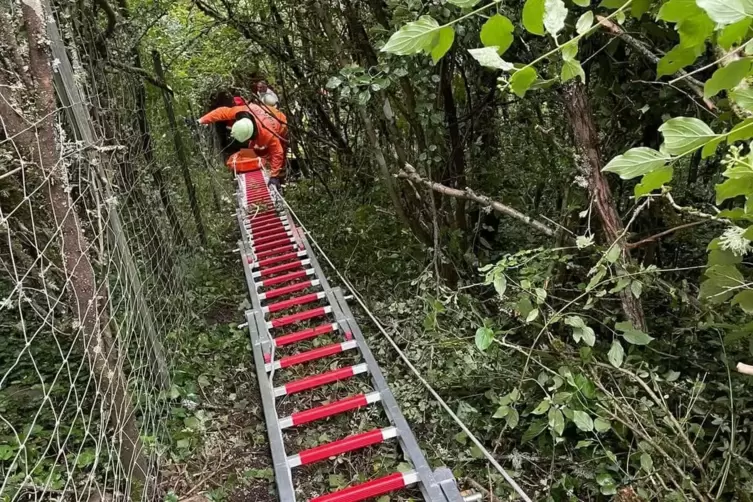 Ungewöhnlicher Rettungsweg: Die Feuerwehr hatte mit Leitern eine Gleitbahn gebaut, um die Trage mit dem Opfer möglichst schonend