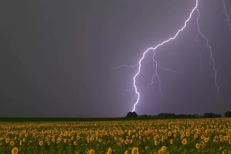 Blitze schlagen vorzugsweise in den höchsten Stellen der Umgebung ein. Das sind oft Bäume.