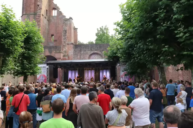 Beim ausverkauften Konzert von Gringo Mayer am Wochenende beim Limburg-Sommer verwies das Kulturparkett auf die Verbindlichkeit 