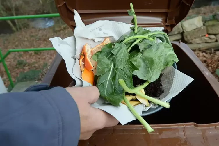 Die Stadtbildpflege empfiehlt, Biomüll in Papier einzuschlagen, bevor er in die Tonne kommt. 