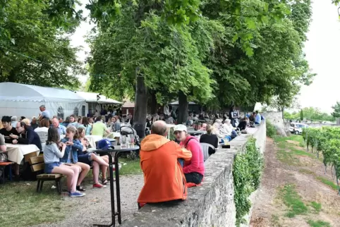 Am ersten Wochenende im August lädt Herxheim zur Kerwe. 