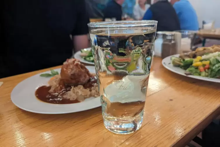 Natürlich geht es auch um die Rieslingschorle und Pfälzer Essen in dem Duden. 