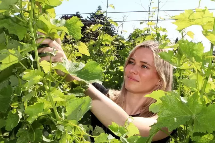 Winzerin Katharina Krieger liebt die Natur – und ihren Beruf. 