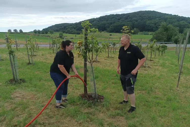 Sie lieben sich und Lebensmittel. Karima und Martin Exenberger auf ihrer Nashi-Plantage. 