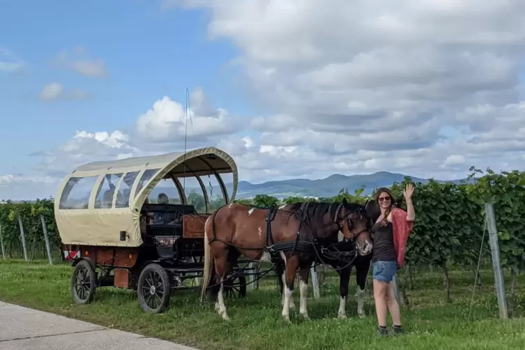 Indra Zodel bietet Planwagen- und Kutschfahrten mit Pferden an. 