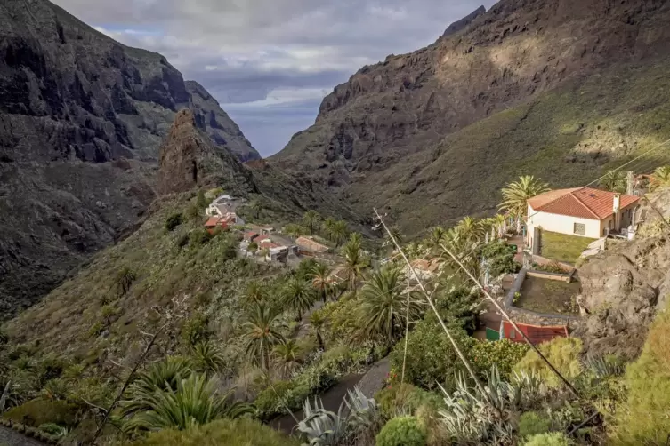 Blick auf das Masca auf Teneriffa. Der vierstündige Abstieg zum Meer kostet für Touristen ab sofort 30 Euro. 