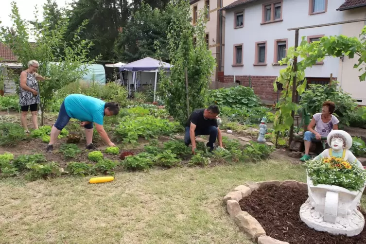 Lieben ihr Gartenprojekt (von links): Eva Hiepler, Simone Feldmann, Peter Moster und Berta Dubois.