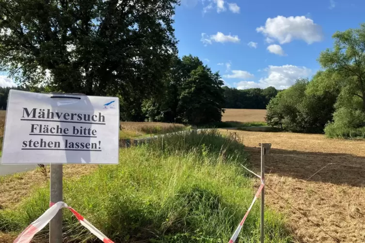 Eine von 30 Testflächen bei Nanstätten im Rhein-Lahn-Kreis im Norden von Rheinland-Pfalz. 