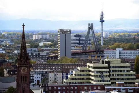 Ludwigshafen hat eine Fläche von knapp 77 Quadratkilometern. Knapp 58 Prozent sollen versiegelt sein.