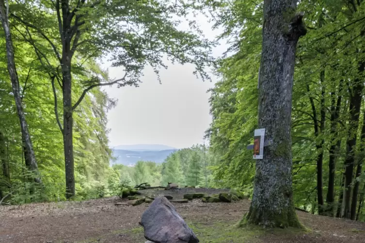 Der Kleine Humberg ist eine der Stationen bei der vierten Sommertour der RHEINPFALZ in diesem Jahr. 