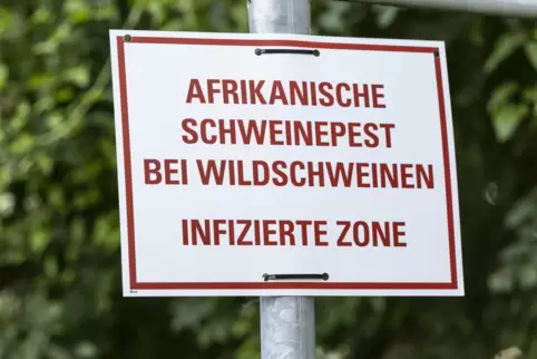 Die Restriktionsgebiete bestehen aus der infizierten Zone und der Pufferzone. Frankenthal, Ludwigshafen und Teile des Kreises si