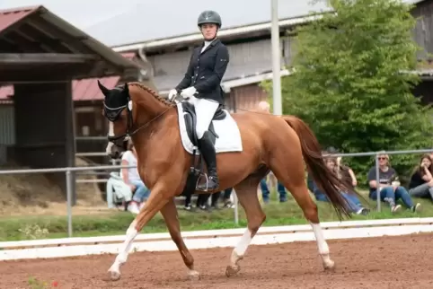 Joelle Hanke im Sattel von Wirbelsturm beim Reit- und Springturnier in Katzweiler. 