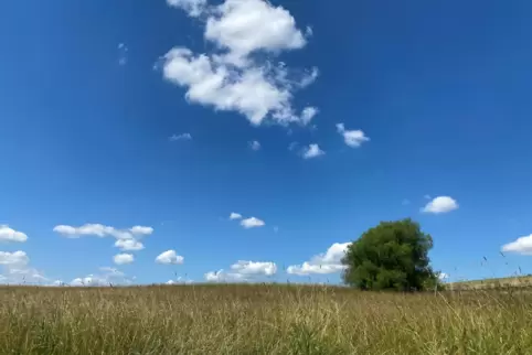 Kleine, fluffige Schönwetterwölkchen zwischen Schallodenbach und Mehlbach. 