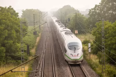 Über die Strecke von Karlsruhe nach Basel läuft der Löwenanteil des Fernverkehrs zwischen Deutschland und der Schweiz. Drei Woch