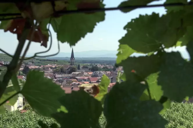 Weinort Ihringen am Kaiserstuhl