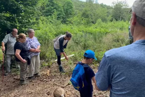 Revierförsterin Isabelle Behret deutet auf eine der Flächen im Wattenheimer Wald, die wegen des Borkenkäfers kahlgeschlagen werd